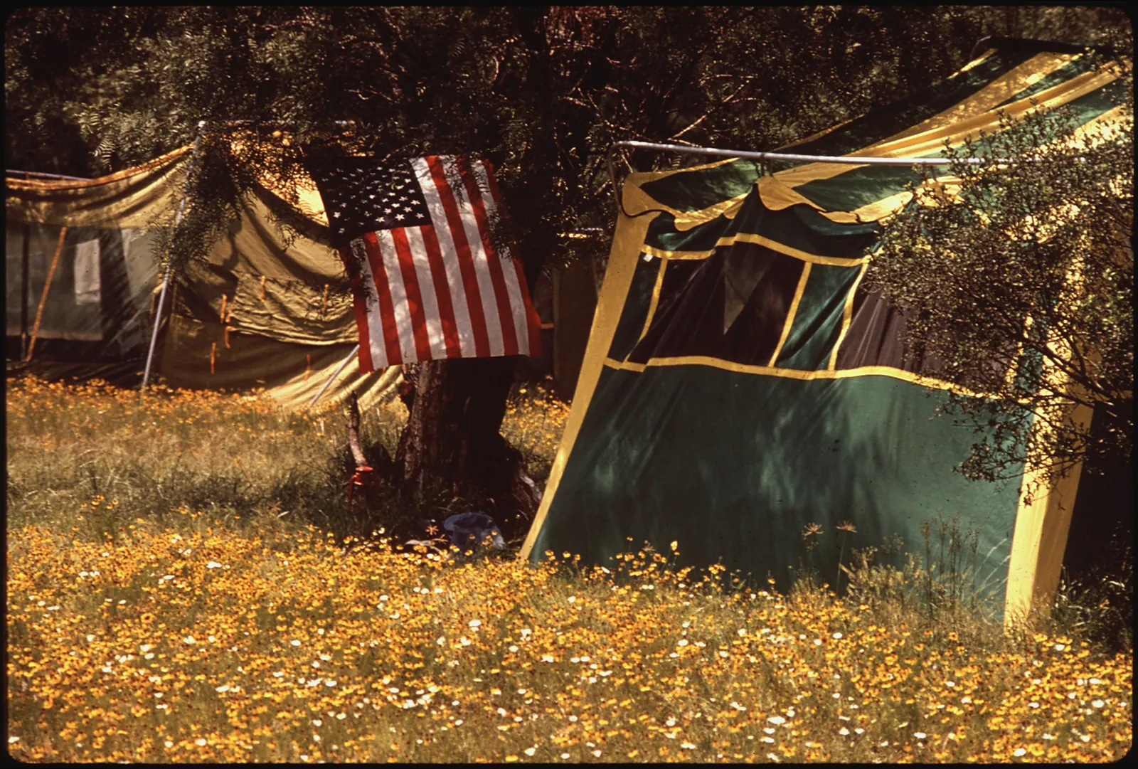 Campsite at the Lago Vista lake development, May 1972